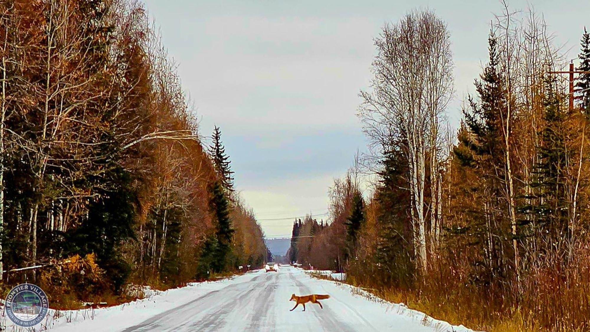 Holiday home The Lazy Lynx - Frontier Village