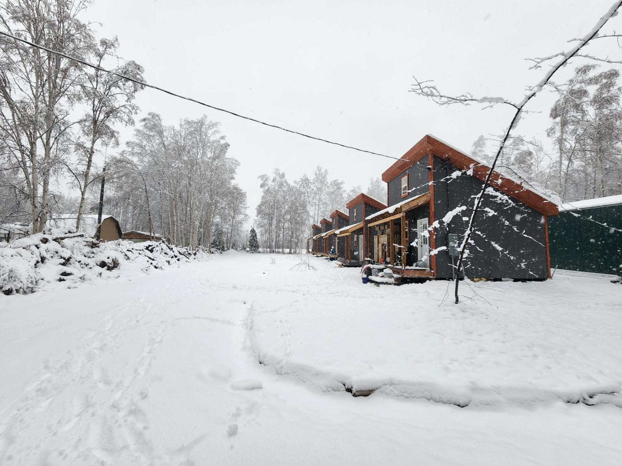 The Lazy Lynx - Frontier Village *